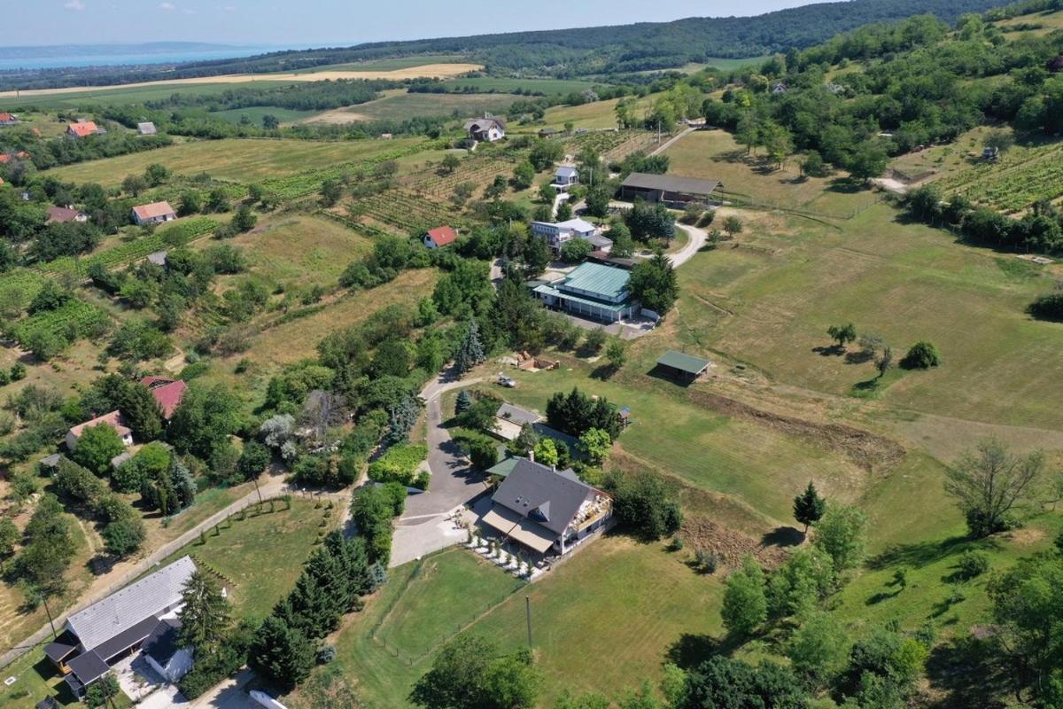 Borkuti Panzio Es Apartman Balatonszárszó Екстериор снимка
